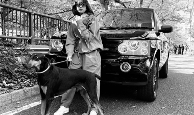 HOSU.ATPD-CARLIFE WITH A DOG-